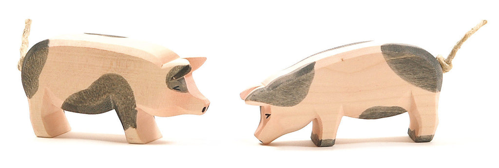 Ostheimer Spotted Pig h/l