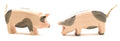 Ostheimer Spotted Pig h/l