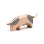 Ostheimer Spotted Pig h/l