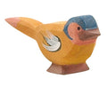 Ostheimer Chaffinch