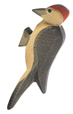 Ostheimer Woodpecker