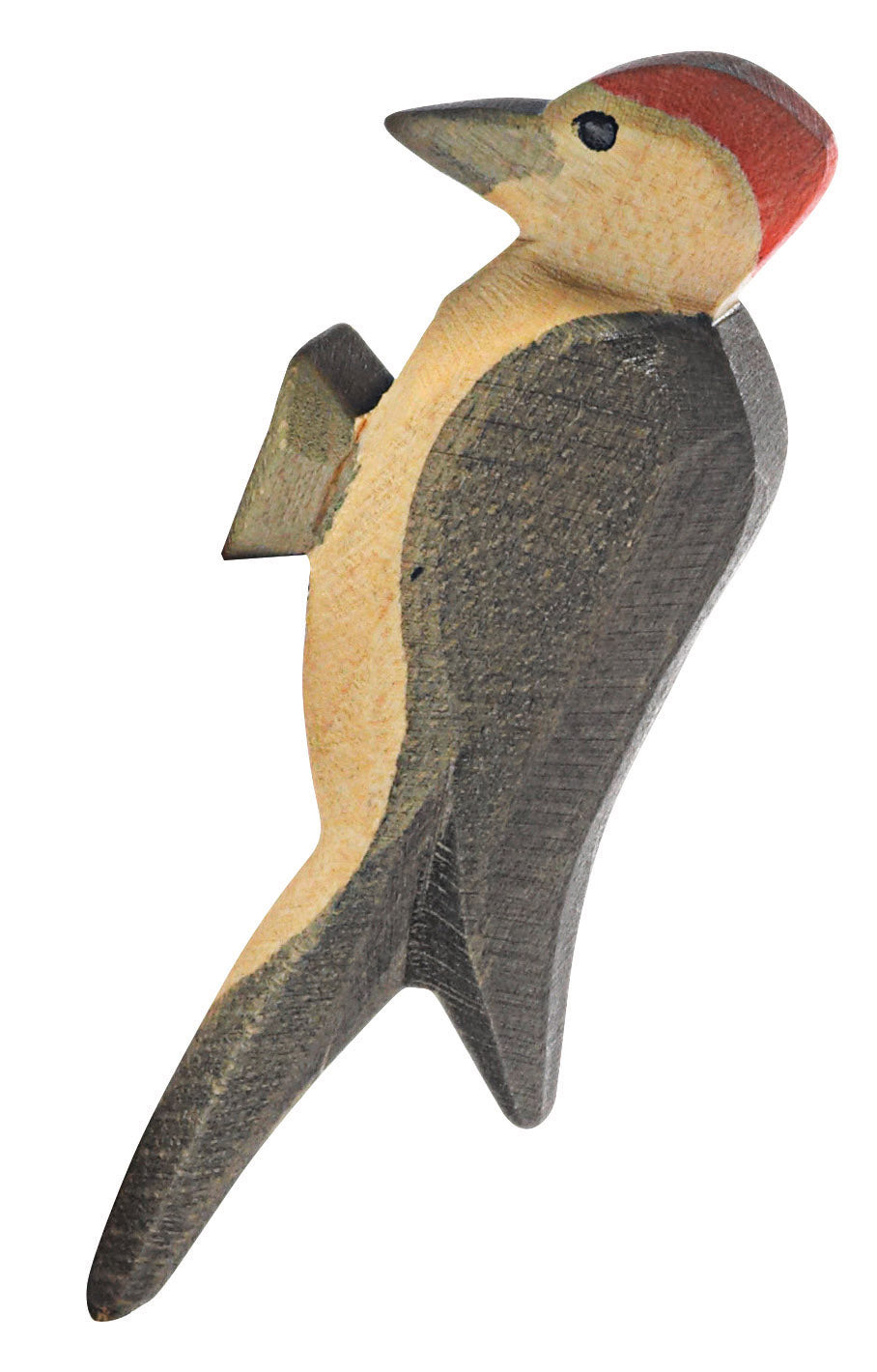 Ostheimer Woodpecker