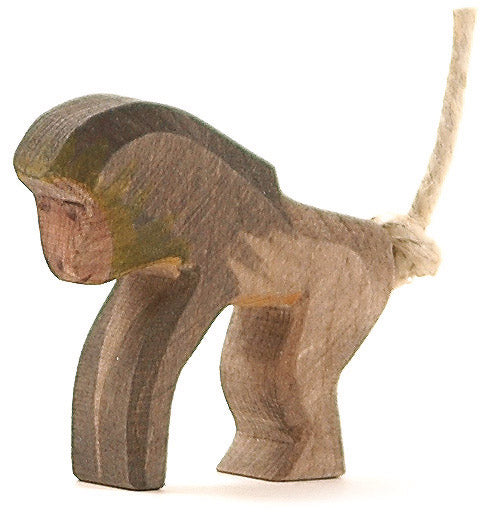 Ostheimer Baboon Standing