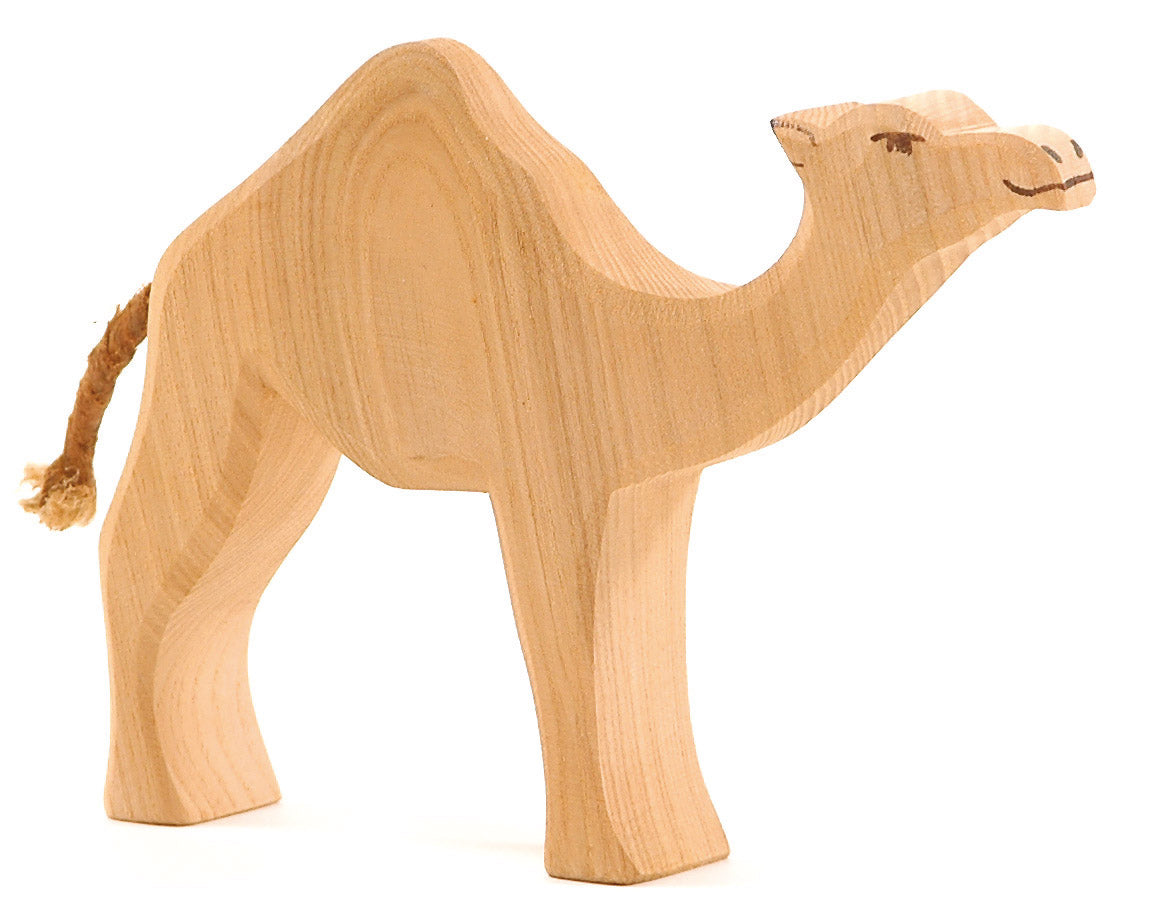 Ostheimer Dromedary