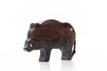 NIC Lilu Wild Boar Boar