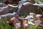 NIC Lilu Wild Boar Boar