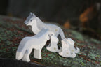 NIC Lilu Wolf
