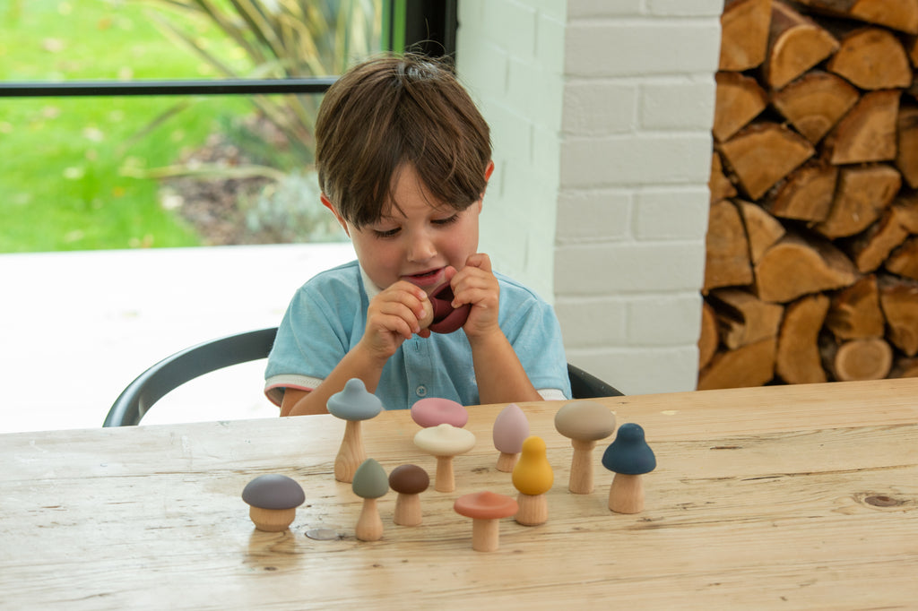 Tickit Silisoft Woodland Mushrooms (earth) Pk12 FSC 100%