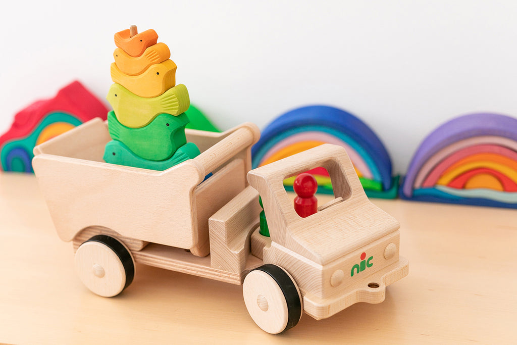 NIC Basic Model Long + Tipper