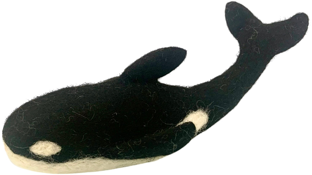 Papoose Killer Whale