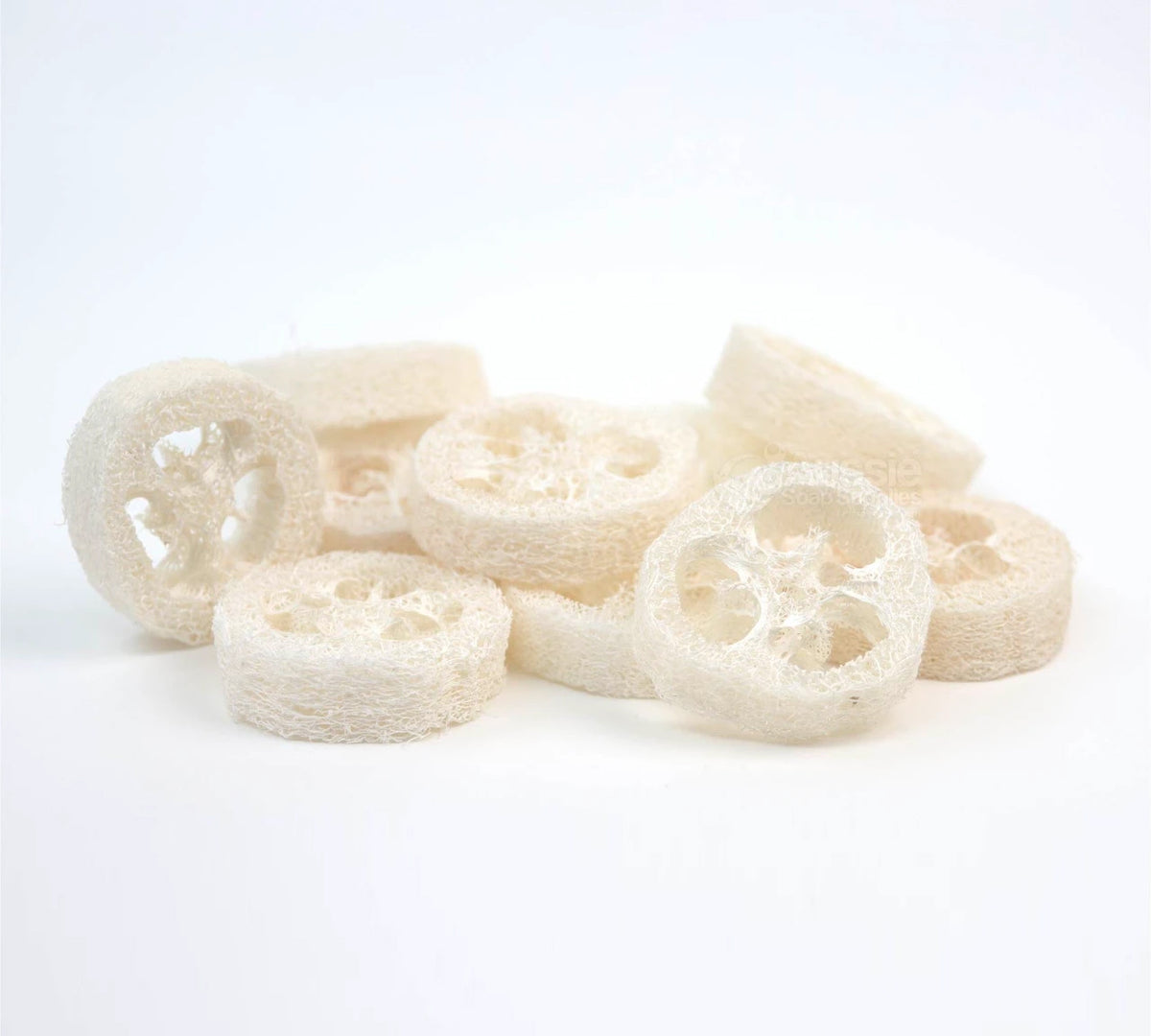 Papoose Loofah Slices/3pc