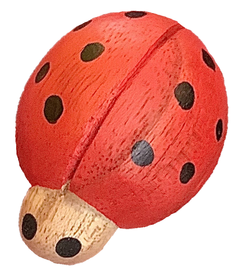 Papoose Red Ladybirds/7pc