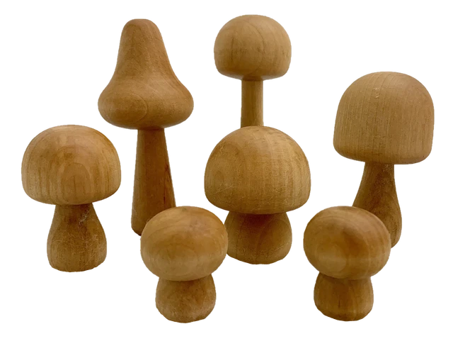 Papoose Mushrooms Natural/7pc