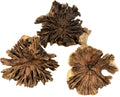Papoose Wood Rose Medium/3pc