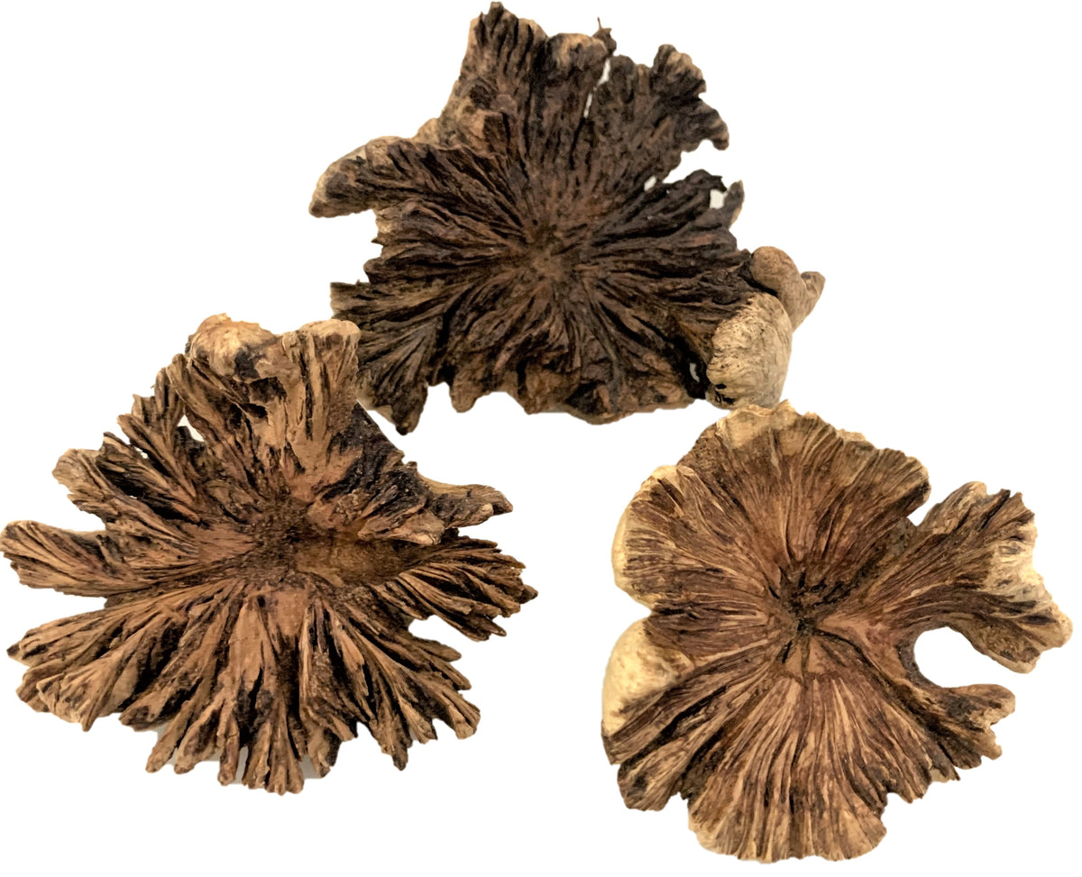 Papoose Wood Rose Medium/3pc