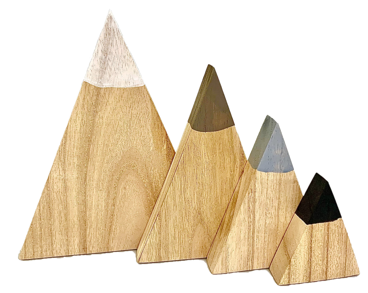 Papoose Winter Mountains/4pc